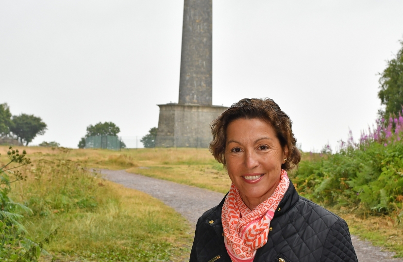 Rebecca Pow is campaigning to restore the iconic Wellington Monument