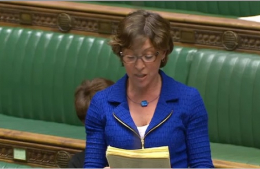 Rebecca speaking in Parliament